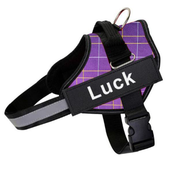 Custom Dog Harnesses for a Happy Hound