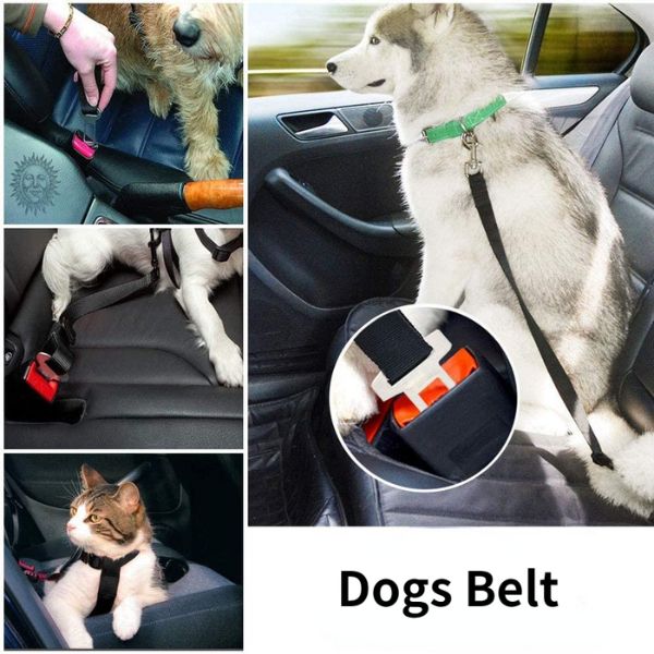 Dogs Cats Safety Light Lead
