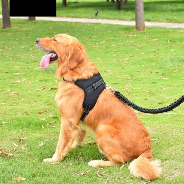 Anti-Slip No Pull Dog Vest Harness