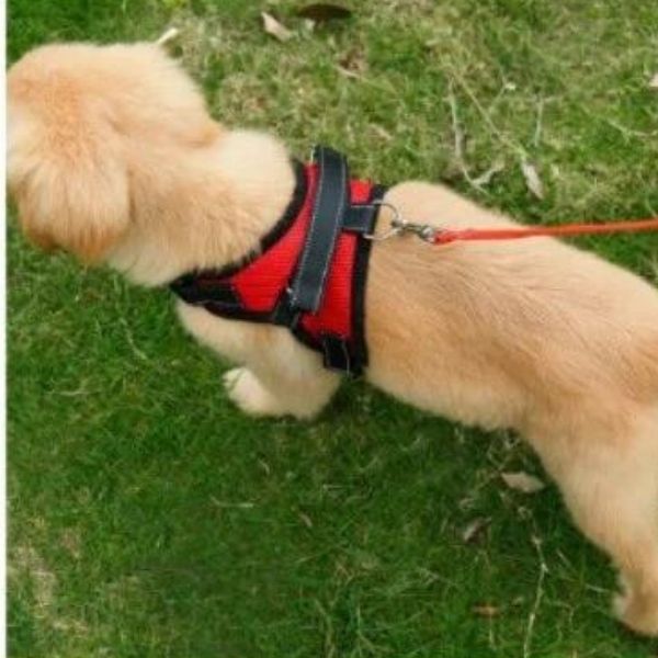 Anti-Slip No Pull Dog Vest Harness
