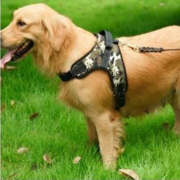 Anti-Slip No Pull Dog Vest Harness