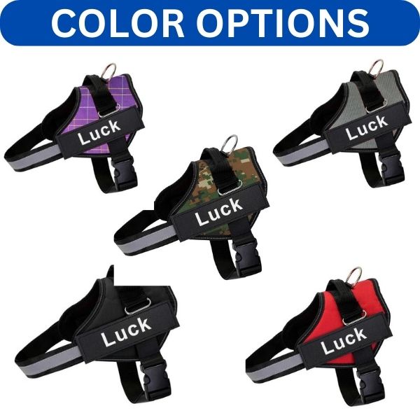 Custom Dog Harnesses for a Happy Hound