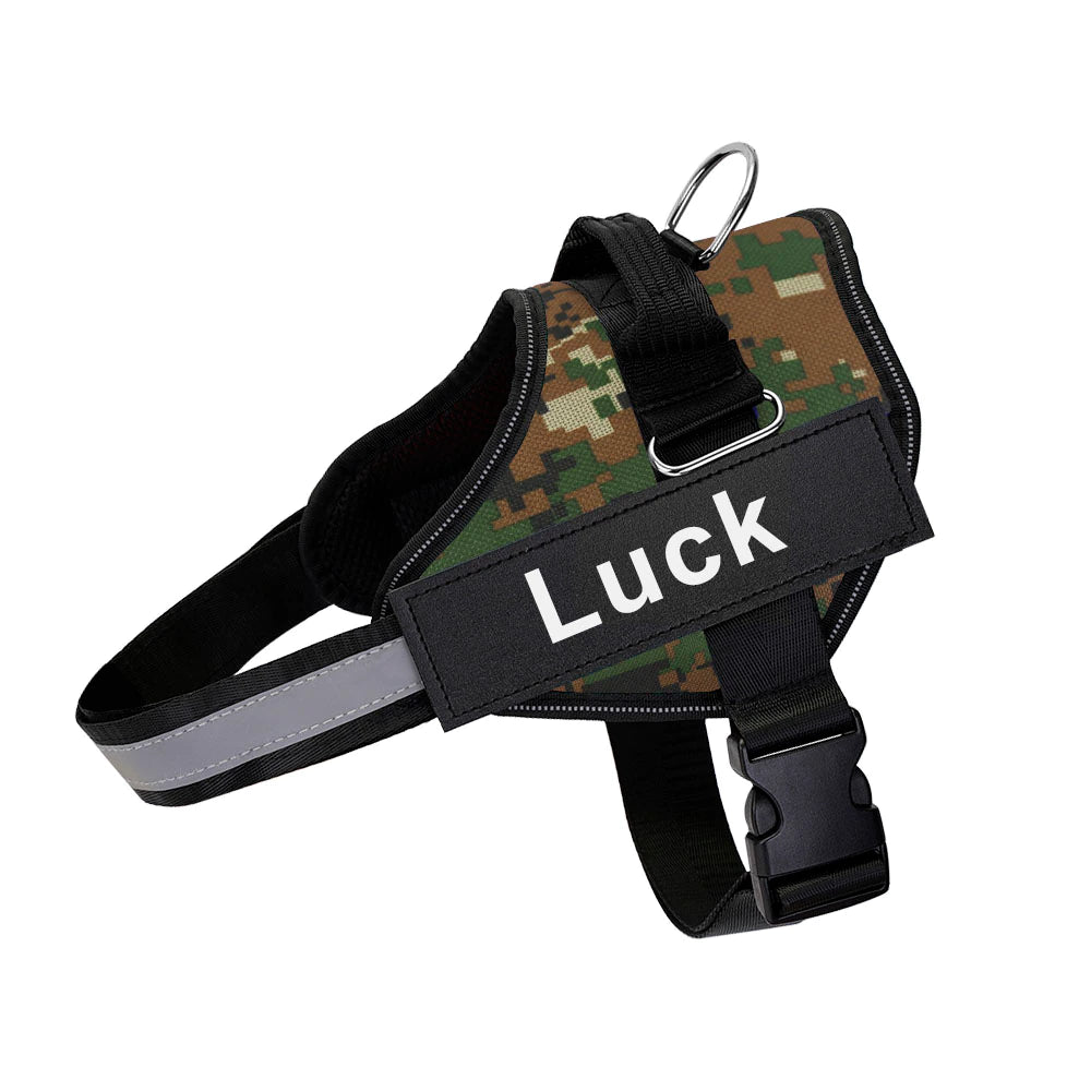 Custom Dog Harnesses for a Happy Hound