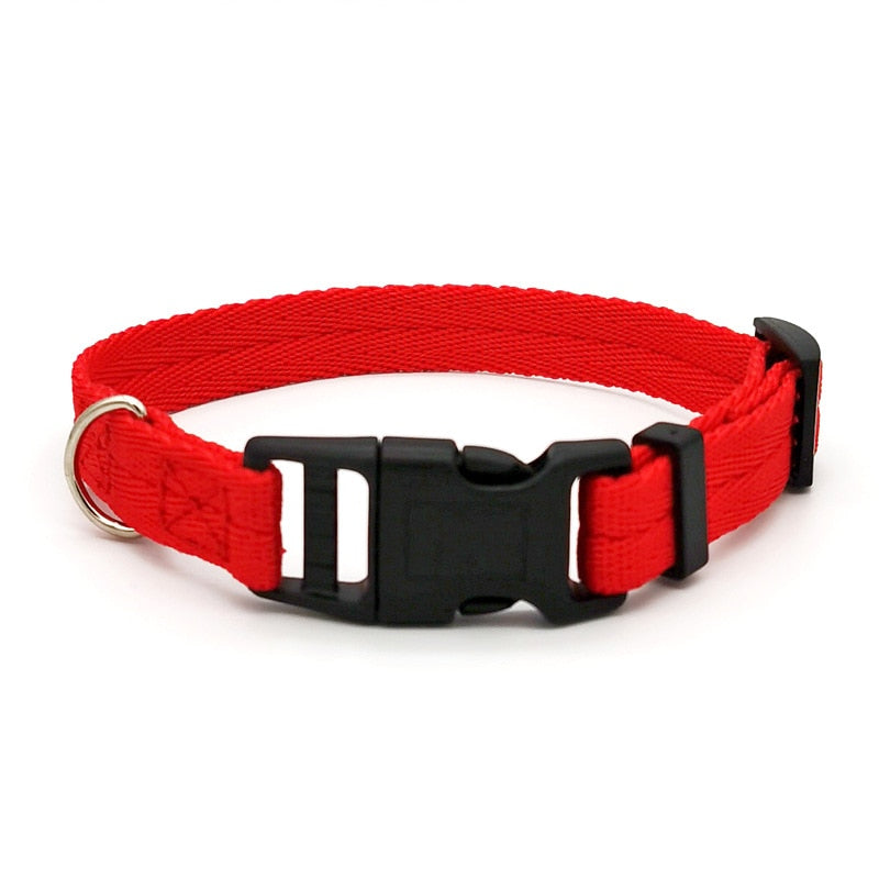 Dog Collar Solid Color