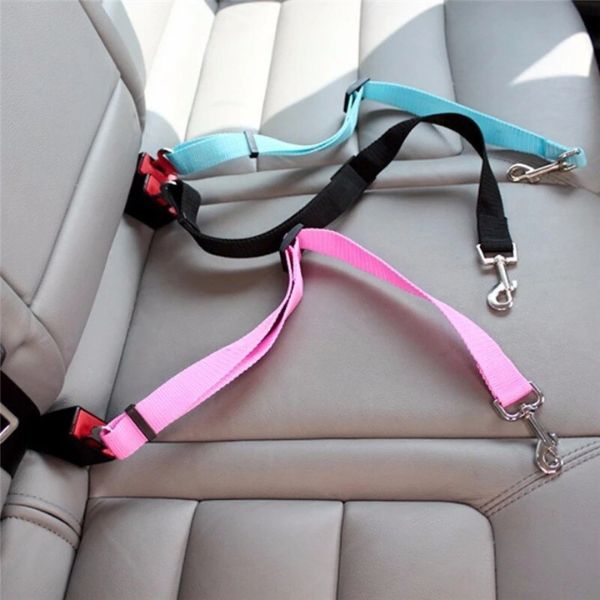 Dogs Cats Safety Light Lead