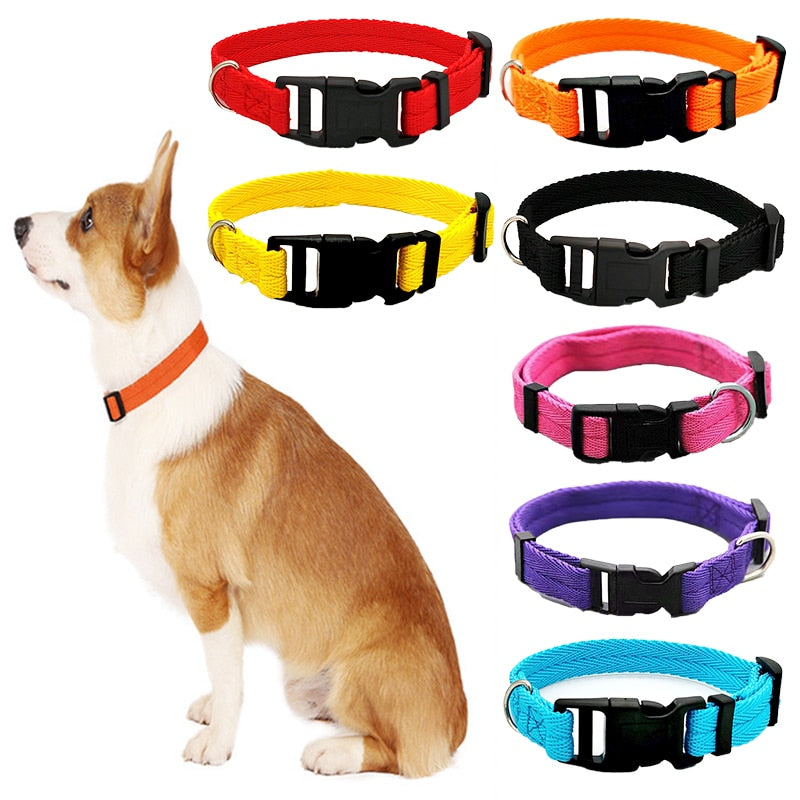 Dog Collar Solid Color